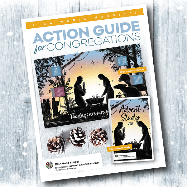 Action Guide