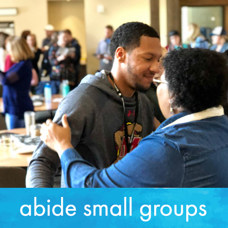 Abide Small Groups